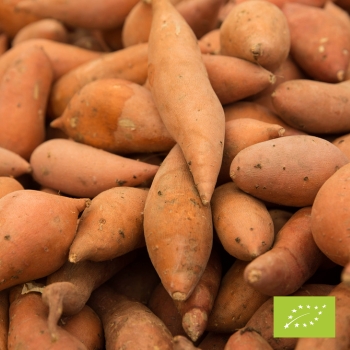 Busta di Batata BIO 1 kg