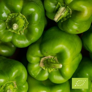 Cubotto with green peppers BIO 6kg