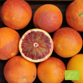 Cubetto di arance Tarocco Rosso BIO SELEZIONATE 6 kg