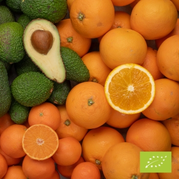 Cubotto di Navelina - Clementina comune - Hass BIO ( 7,5+2+2 ) 11,5 kg