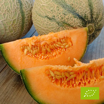 Cubotto di Melone Cantalupo BIO 10 kg ( 9 pezzi)