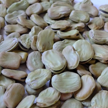 Fava larga di Leonforte  250gr