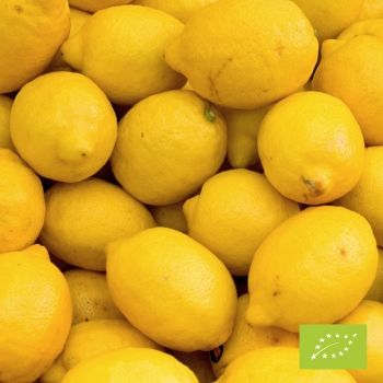 Cubotto di limone  BIO 12kg