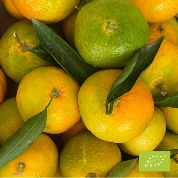 Cubotto di Primosole BIO 12 kg