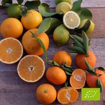 Cubotto di limoni - mandarini - arance Tarocco BIO (2+2+7,5) 11,5kg