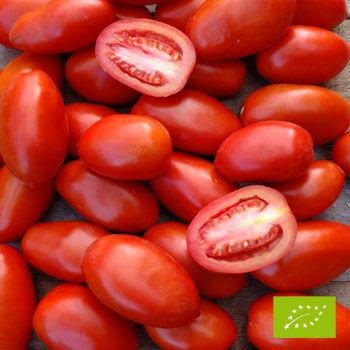 Cubotto Triplo strato di Pomodoro Datterino BIO 9 kg