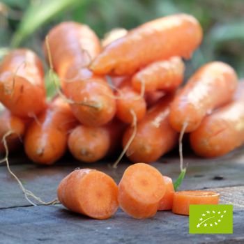 Busta di carote BIO 1 kg