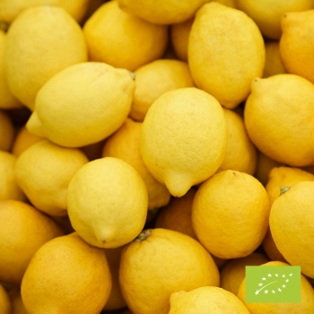 Cubotto with lemons BIO 12kg