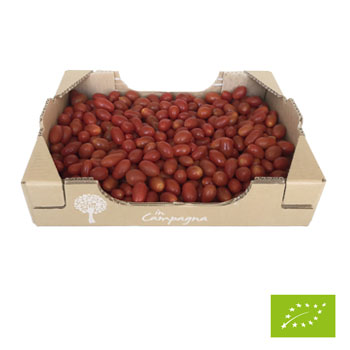 Cubottino di Pomodoro Datterino BIO 3 kg